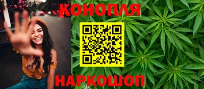 гашик Нальчик