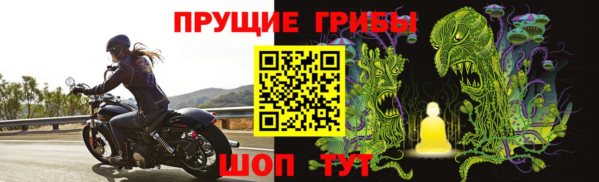 Россия  Галлюциногенные грибы Psilocybine cubensis  Вход с VPN 